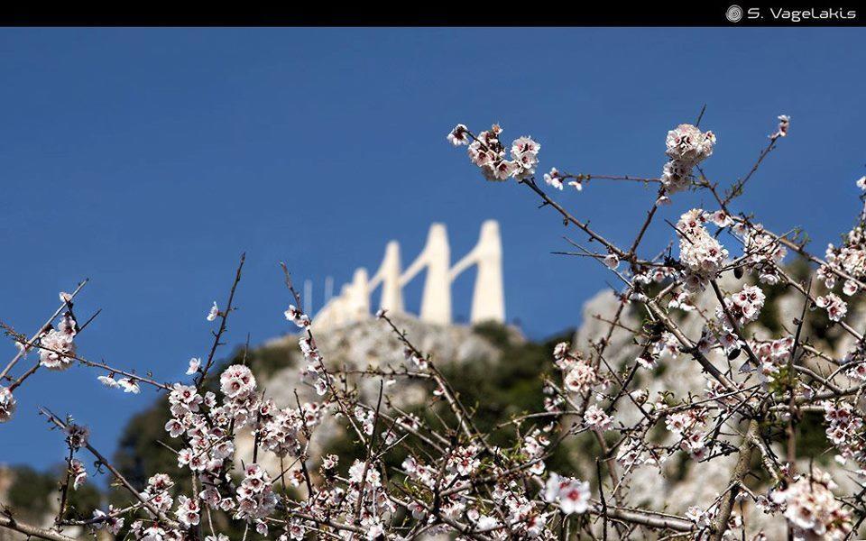 Hotel Fotini Mytikas  Luaran gambar